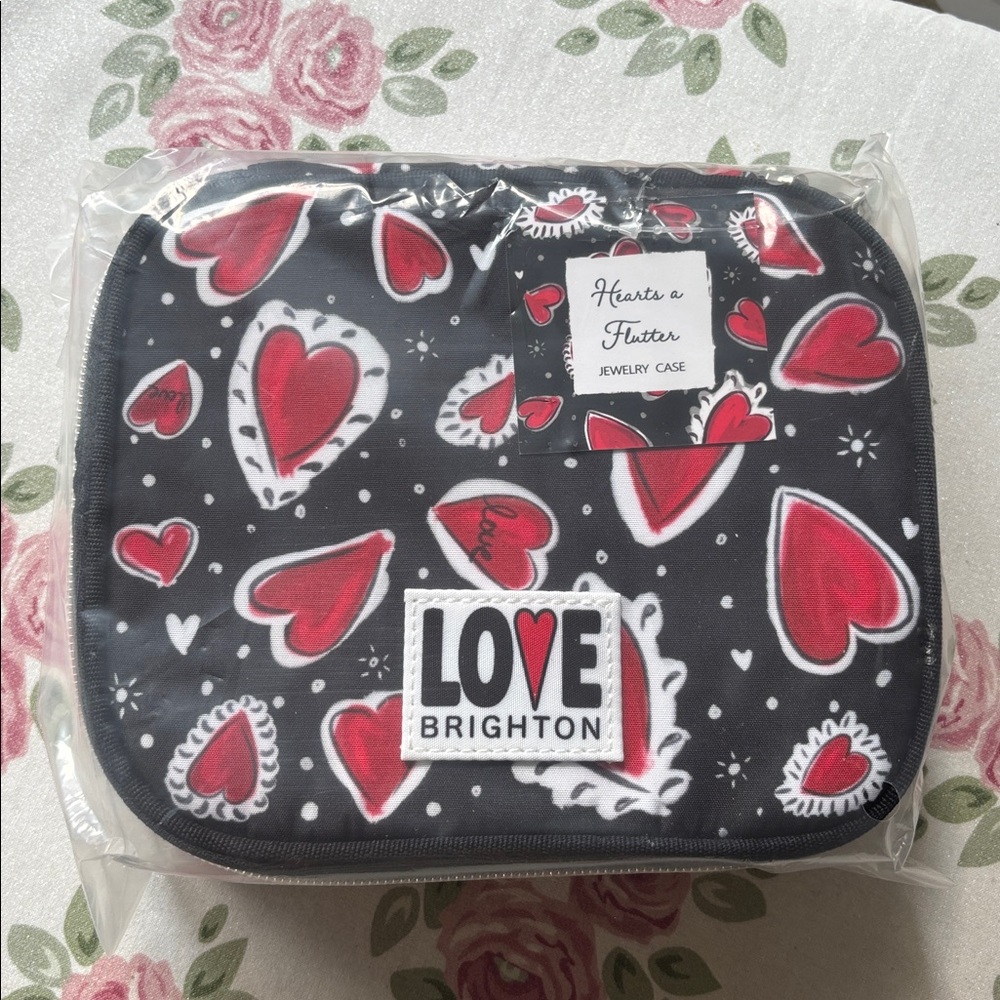 NWT Brighton Jewelry Case
